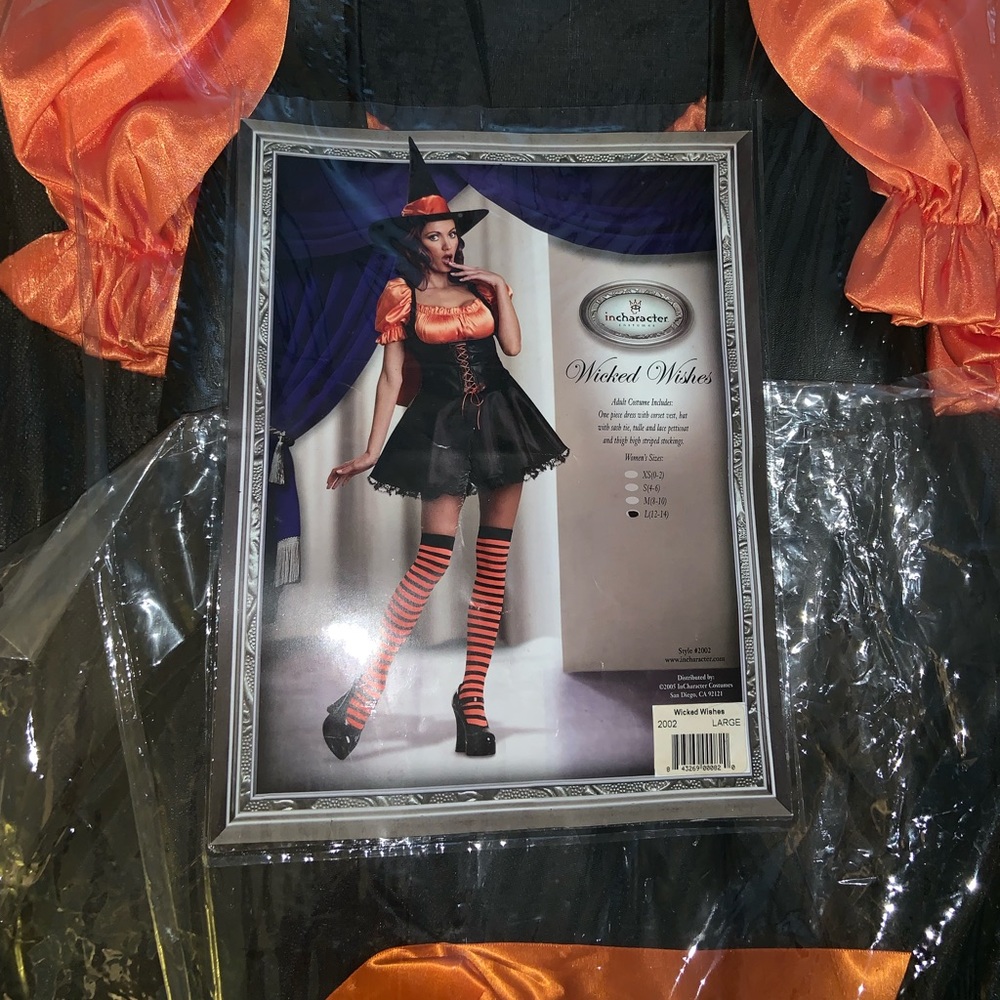 Witch Halloween Costume “Wicked Wishes”